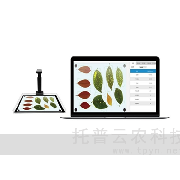 智能葉面積測(cè)量系統(tǒng)